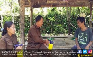 Ribuan Lalat Serbu Puluhan Rumah Warga Paksebali Klungkung - JPNN.com