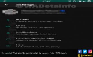 Asyik, Tema Gelap di WhatsApp Segera Hadir ke Pengguna iPhone - JPNN.com