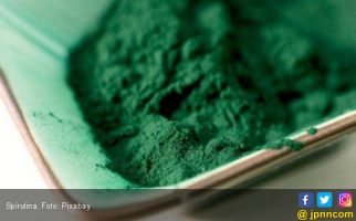 Pengguna Spirulina Perlu Baca Informasi Ini - JPNN.com