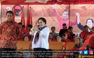 Megawati Ikut Panen Raya Padi MSP di Indramayu - JPNN.com