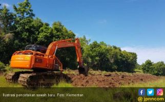 Kementan Target Cetak Sawah Baru 6.000 Hektare Tahun Ini - JPNN.com