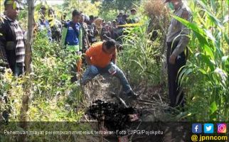 Mayat Perempuan Misterius Ditemukan Terbakar di Kebun Jagung, Siapa Dia ? - JPNN.com