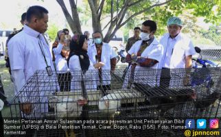 Mentan Amran Bertekad Mewujudkan Kemandirian Pakan - JPNN.com