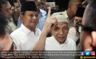 Kubu Jokowi Sepakat Amien Rais Harus Ditangkap - JPNN.com