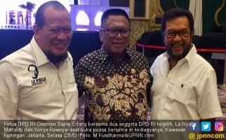 Sosok Calon Ketua DPD RI di Mata OSO, Nih Kriterianya - JPNN.com