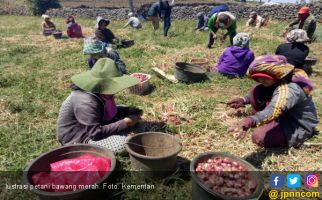 Warga Bima Tuntut Kementan Berpihak kepada Petani Bawang Merah - JPNN.com