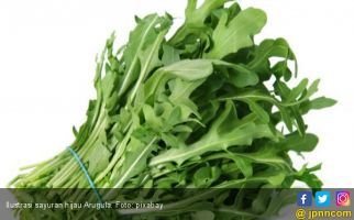 10 Khasiat Sayuran Hijau Arugula - JPNN.com