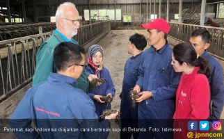 FFI Kirim Empat Peternak Sapi Indonesia untuk Studi Banding ke Belanda - JPNN.com