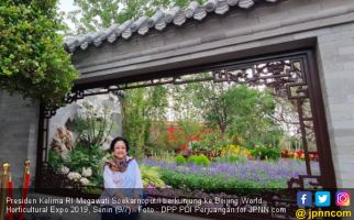 Megawati Minta Jokowi Tiru Taman di Tiongkok Ini - JPNN.com