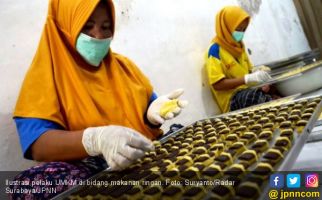 Ekonom Indef: Ini Solusi Bagus Untuk UMKM Kembangkan Bisnisnya   - JPNN.com