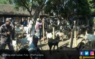 Berikut Ini Daftar Harga Kambing untuk Kurban Jelang Iduladha - JPNN.com