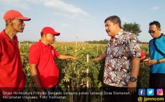 Program Grand Design Hortikultura Diyakini Bakal Perluas Pasar Ekspor - JPNN.com