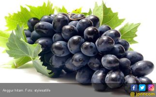 Kaya Antioksidan, Anggur Hitam Cegah Kanker dan Diabetes - JPNN.com