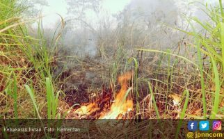Kejaksaan Agung Menang Gugatan Kasus Kebakaran Hutan di Jambi - JPNN.com