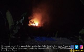 Kawasan Hutan Wisata Alam Bukit Bintang Sengaja Dibakar - JPNN.com