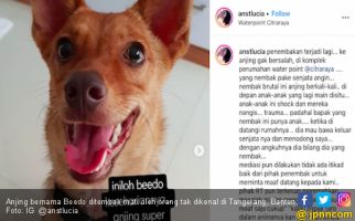 Anjing Mati Ditembak OTK Secara Brutal, Polisi Turun Tangan - JPNN.com