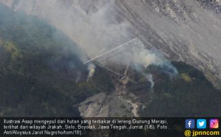 Hutan Lereng Merapi Terbakar, Tak Jelas Penyebabnya - JPNN.com