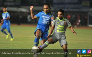Keputusan Komdis PSSI Bikin Pelatih Persib Bandung Bingung - JPNN.com