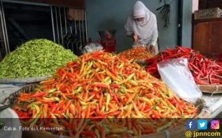 Harga Cabai Rawit di Daerah Ini Rp 112 Ribu per Kilogram - JPNN.com