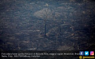 Menlu Brazil Anggap Kebakaran Hutan di Amazon Masih Normal - JPNN.com