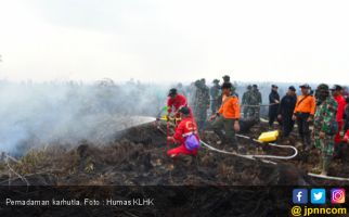 Pembakar Hutan dan Lahan di Kalimantan Selatan Diamankan Polisi - JPNN.com