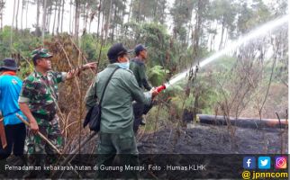 Hotspot Naik, KLHK Gencarkan Water Booming di Kalimantan - JPNN.com