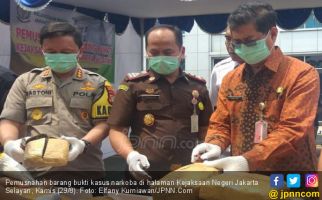 Jaksa Ajak Polisi Bakar Ganja - JPNN.com