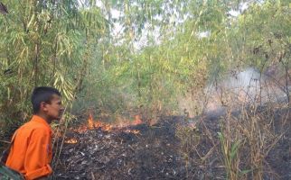 BPBD: Kebakaran di Gunung Sunda Sukabumi Diduga Berasal dari Puntung Rokok - JPNN.com