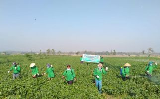 Kementan Galakkan Pestisida Hayati Ramah Lingkungan - JPNN.com