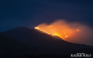 Kebakaran di Gunung Merbabu Mengancam Satwa Endemik - JPNN.com