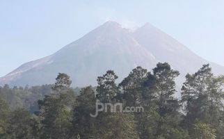 5 Lutung Hitam Turun dari Lereng Gunung Merapi - JPNN.com