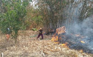 Warga Panik, 10 Hektare Lahan Gunung Cipicung Terbakar - JPNN.com