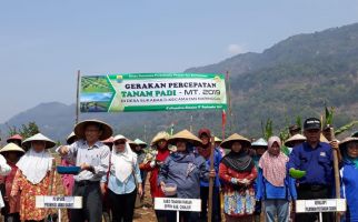 Petani Sukabakti Cianjur Jadi Percontohan Tanam Padi Saat Kemarau - JPNN.com