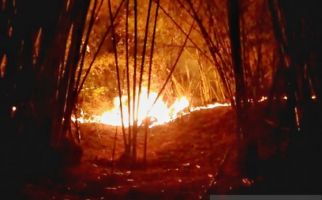 Lahan Gunung Lagadar Bandung Terbakar - JPNN.com