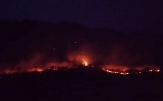 Hutan Gunung Solasih Diduga Sengaja Dibakar - JPNN.com