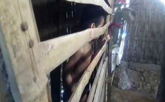  Miris..Anak Ini Hidup di Kandang Ayam Dekat Rumah Orang Tuanya - JPNN.com