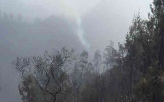 Hutan Penanjakan Wisata Gunung Bromo Terbakar - JPNN.com