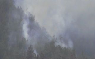 Hutan Gunung Semeru Terbakar Kena Guguran Lava - JPNN.com