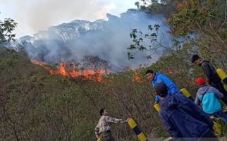 Kebakaran Hutan Gunung Papandayan Garut Berhasil Dijinakkan - JPNN.com