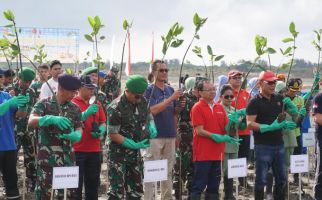 Hijaukan Pesisir, Pelindo III dan TNI Tanam Ratusan Ribu Bibit Bakau - JPNN.com