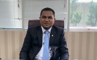 Reaksi Senator Angelo Soal Pengecatan Ulang Pesawat Kepresidenan, Menohok! - JPNN.com