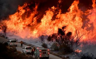 Kebakaran Terdahsyat Landa California, Status Darurat - JPNN.com