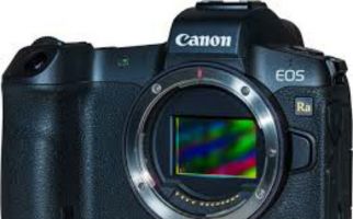 Canon Merilis Kamera Mirrorless untuk Potret Malam Hari - JPNN.com