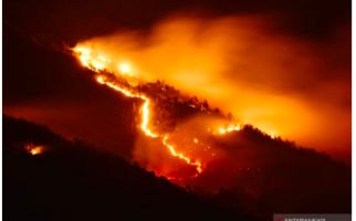 Hutan di Lereng Gunung Lawu Terbakar, Dilarang Lewat Jalur Pendakian - JPNN.com
