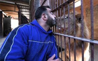 Perang Suriah Bukan Halangan Untuk Mencium Singa atau Berbincang dengan Harimau - JPNN.com