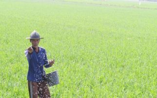 Sukabumi Siap Lindungi Lahan Pertanian dengan Semua Peraturan - JPNN.com