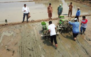 Pemerintah Kejar Target Luasan Sawah yang Dilindungi - JPNN.com