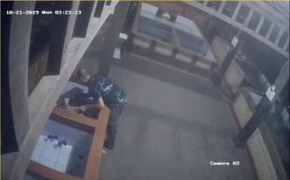 Kasus Pencurian Puluhan Penyu di Kawasan Konservasi Belum Terungkap - JPNN.com