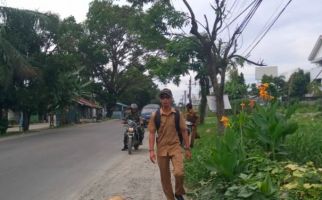 Masih Ada yang Nekat Buang Bangkai Babi di Pinggir Jalan - JPNN.com