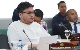 Pemprov DKI Bongkar Ruko di Pluit, Legislator PSI Dorong Penertiban di Tempat Lain - JPNN.com
